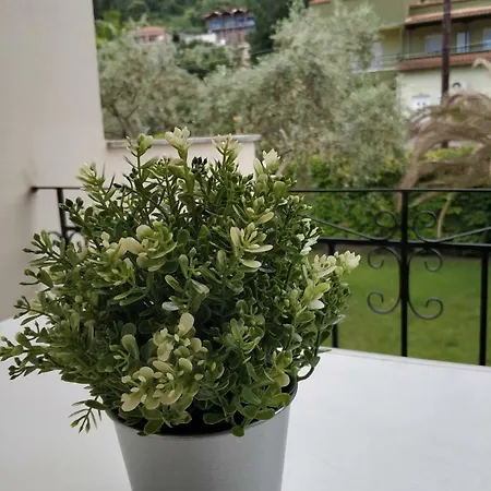 Estrella Del Mar Hotell Skala Potamia (Thasos)