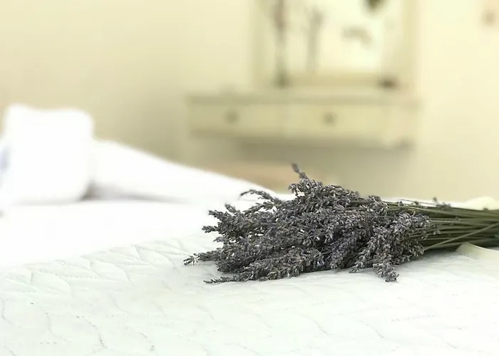 Hotel Estrella Del Mar