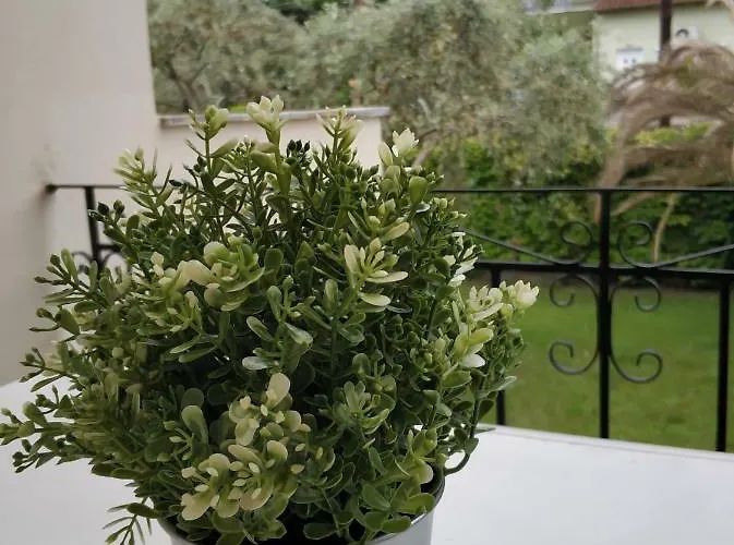 Estrella Del Mar Hotel Skala Potamia (Thasos)